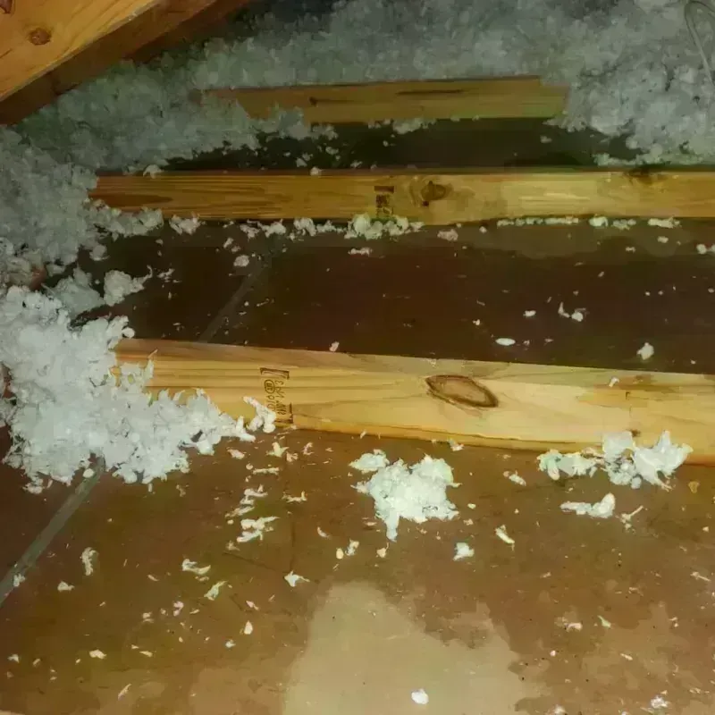 Attic Water Damage in Pittsford, NY